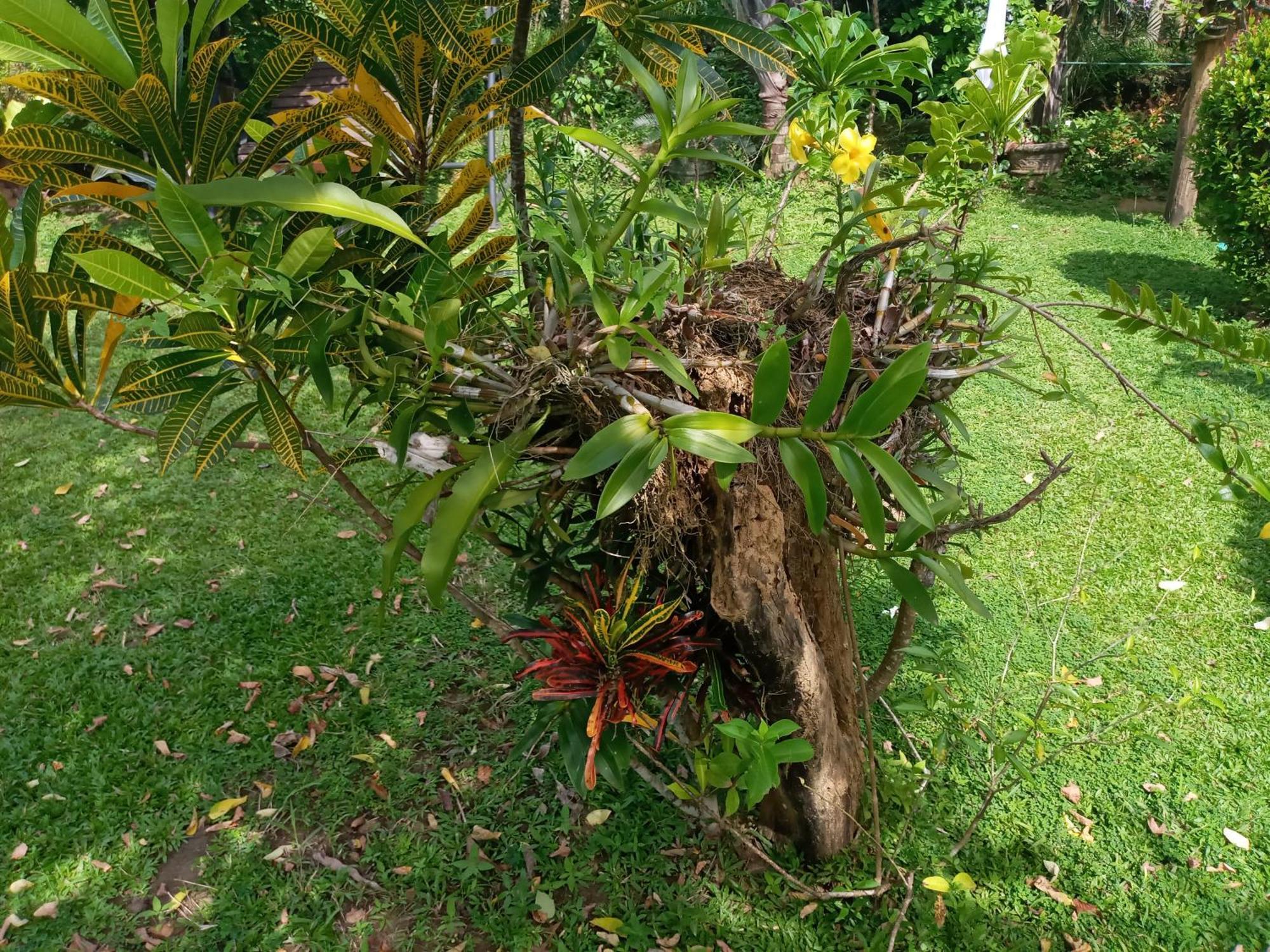 Sunny Side Villa Tangalle Exterior foto